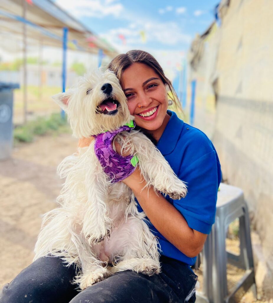 Guardería y hotel para perros