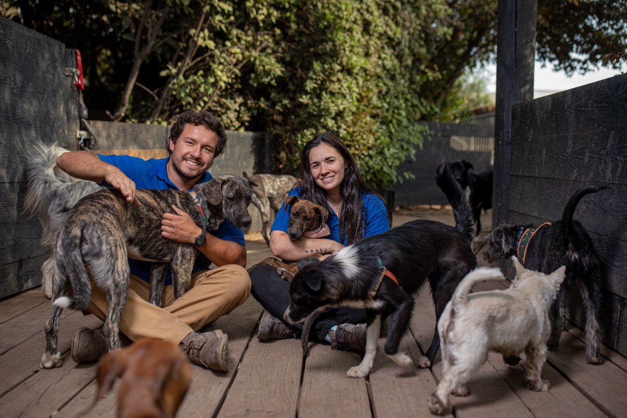 Guardería y hotel para perros