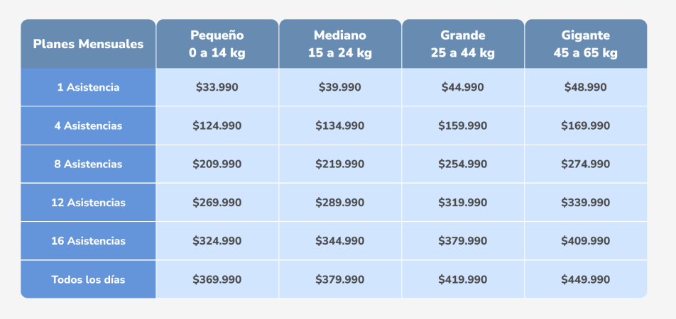 Precios dogmates